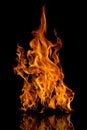 Fire flames Royalty Free Stock Photo