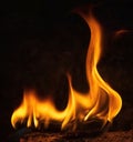 Fire flames abstract on black background, fire art Royalty Free Stock Photo