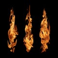 Fire flames abstract collection isolated on black background