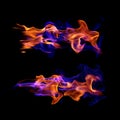 Burning gas. Red and blue fire flames on black background Royalty Free Stock Photo