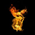 Fire flames on a black background abstract Royalty Free Stock Photo