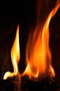 Fire flames on a black background. Blaze fire flame texture back Royalty Free Stock Photo