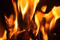 Fire flames on a black background. Blaze fire flame texture back Royalty Free Stock Photo