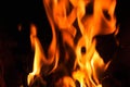 Fire flames on a black background. Blaze fire flame texture back Royalty Free Stock Photo