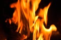 Fire flames on a black background. Blaze fire flame texture back Royalty Free Stock Photo