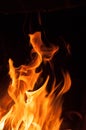 Fire flames on a black background. Blaze fire flame texture background. Close up of fire flames isolated on black background. Burn Royalty Free Stock Photo