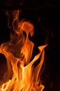 Fire flames on a black background. Blaze fire flame texture background. Close up of fire flames isolated on black background. Burn Royalty Free Stock Photo