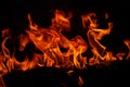 Fire flames on black background. Fire burn flame isolated, abstract texture. Flaming effect with burning fire. Royalty Free Stock Photo