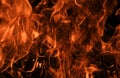 Fire flames on black background. Fire burn flame isolated, abstract texture. Flaming effect with burning fire. Royalty Free Stock Photo