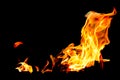 The Fire flames on a black background Royalty Free Stock Photo