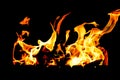 The Fire flames on a black background Royalty Free Stock Photo