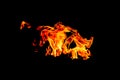 The Fire flames on a black background