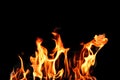 Fire, flames on a black background isolate. Concept fire grill heat weekend barbecue Royalty Free Stock Photo