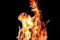 Fire, flames on a black background isolate. Concept fire grill heat weekend barbecue Royalty Free Stock Photo