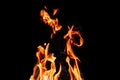Fire, flames on a black background isolate. Concept fire grill heat weekend barbecue Royalty Free Stock Photo