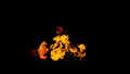 Fire flames on black background isolated. Burning gas or gasoline burns with fire and flames. Flaming burning sparks close-up,