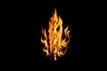 Fire flames on black background. Fire flames isolated on black background