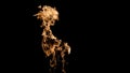 Fire flames on black background. fire on black background isolated. fire patterns Royalty Free Stock Photo