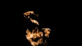 Fire flames on black background. fire on black background isolated. fire patterns Royalty Free Stock Photo