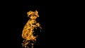 Fire flames on black background. fire on black background isolated. fire patterns Royalty Free Stock Photo