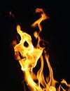 Fire flames on black background or texture Royalty Free Stock Photo