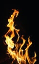 Fire flames on black background or texture Royalty Free Stock Photo