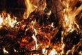 Fire, flames on a black background, fire texture Royalty Free Stock Photo
