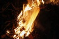 Fire, flames on a black background, fire texture Royalty Free Stock Photo