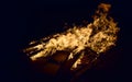 Flames of fire in the darkness. Royalty Free Stock Photo
