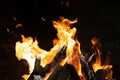 Fire flames in bonfire stove Royalty Free Stock Photo