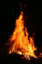 Fire flames burning grass on a black background