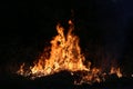 Fire flames burning grass on a black background