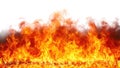 Fire flames burning isolated on white transparent, wide panorama