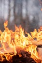 Fire flames, burning pile of cardboard and waste paper Royalty Free Stock Photo