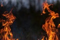 Fire flames, burning pile of cardboard and waste paper Royalty Free Stock Photo