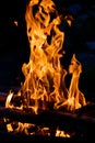 Fire flames. Camp fire. Royalty Free Stock Photo