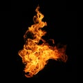 Fire flames collection isolated on black background. Royalty Free Stock Photo