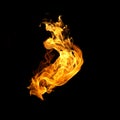 Fire flames collection isolated on black background