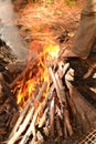 Fire flames dancing in the wind Royalty Free Stock Photo