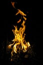 Fire flames in the dark image of a campfire at night isolated on the black background Royalty Free Stock Photo