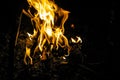 Fire flames in the dark image of a campfire at nighta Royalty Free Stock Photo