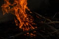 Fire, flames and hot coals in the fireplace. High resolution background. Royalty Free Stock Photo