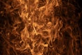 Fire flames with intense glow. Abstract fire background. Burning abstract background. Dramatic fire texture. Blazing flames. Hot Royalty Free Stock Photo