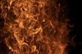 Fire flames with intense glow. Abstract fire background. Burning abstract background. Dramatic fire texture. Blazing flames. Hot Royalty Free Stock Photo