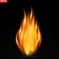 Fire flames isolated on transparent background.