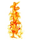 Fire flames isolated on white background Royalty Free Stock Photo