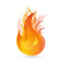 Fire flames logo