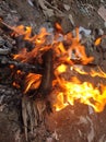 Dangerous Fire.Fire and flames. Black, heat.Fire.Fire Flames Flame Background. Royalty Free Stock Photo