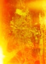 Fire Flames Textured Gunge Background Royalty Free Stock Photo