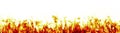 Fire flames on white background more red version Royalty Free Stock Photo